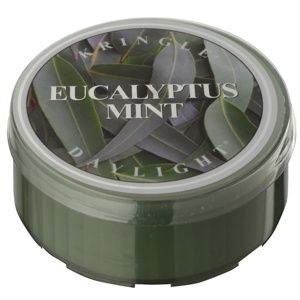 Kringle Candle Eucalyptus Mint čajová svíčka
