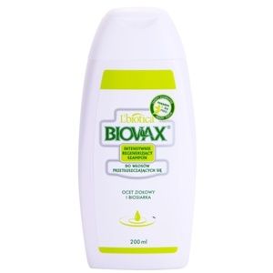 L'biotica Biovax Dull Hair ošetřující a posilující šampon pro mastné v