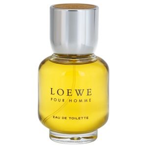 Loewe Loewe Pour Homme toaletní voda pro muže 100 ml