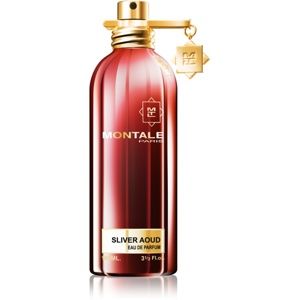 Montale Sliver Aoud parfémovaná voda pro muže 100 ml