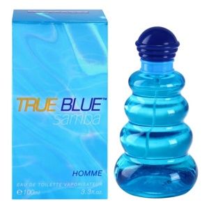 Perfumer's Workshop True Blue Samba toaletní voda pro muže 100 ml