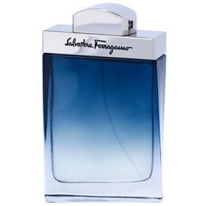 Salvatore Ferragamo Subtil Pour Homme toaletní voda pro muže 100 ml