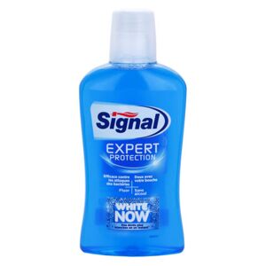 Signal White Now Expert Protection ústní voda s bělicím účinkem 500 ml