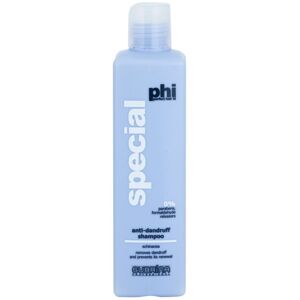 Subrina Professional PHI Special šampon proti lupům 250 ml