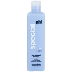 Subrina Professional PHI Special šampon proti lupům