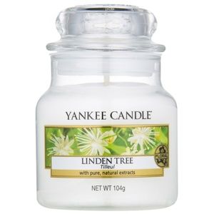 Yankee Candle Linden Tree vonná svíčka 104 g Classic malá