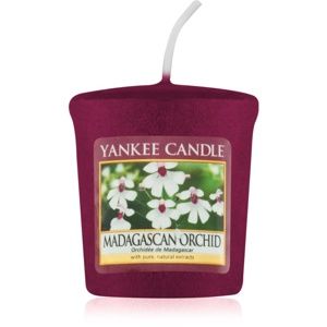 Yankee Candle Madagascan Orchid votivní svíčka 49 g
