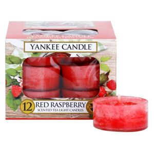 Yankee Candle Red Raspberry čajová svíčka 12 x 9.8 g