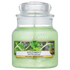 Yankee Candle Wild Mint vonná svíčka 104 g Classic malá