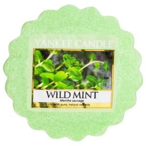 Yankee Candle Wild Mint vosk do aromalampy