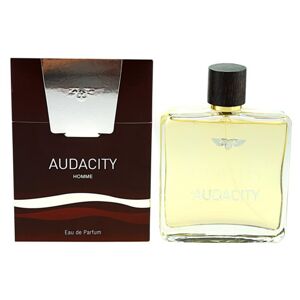 Zync Audacity parfémovaná voda pro muže 100 ml